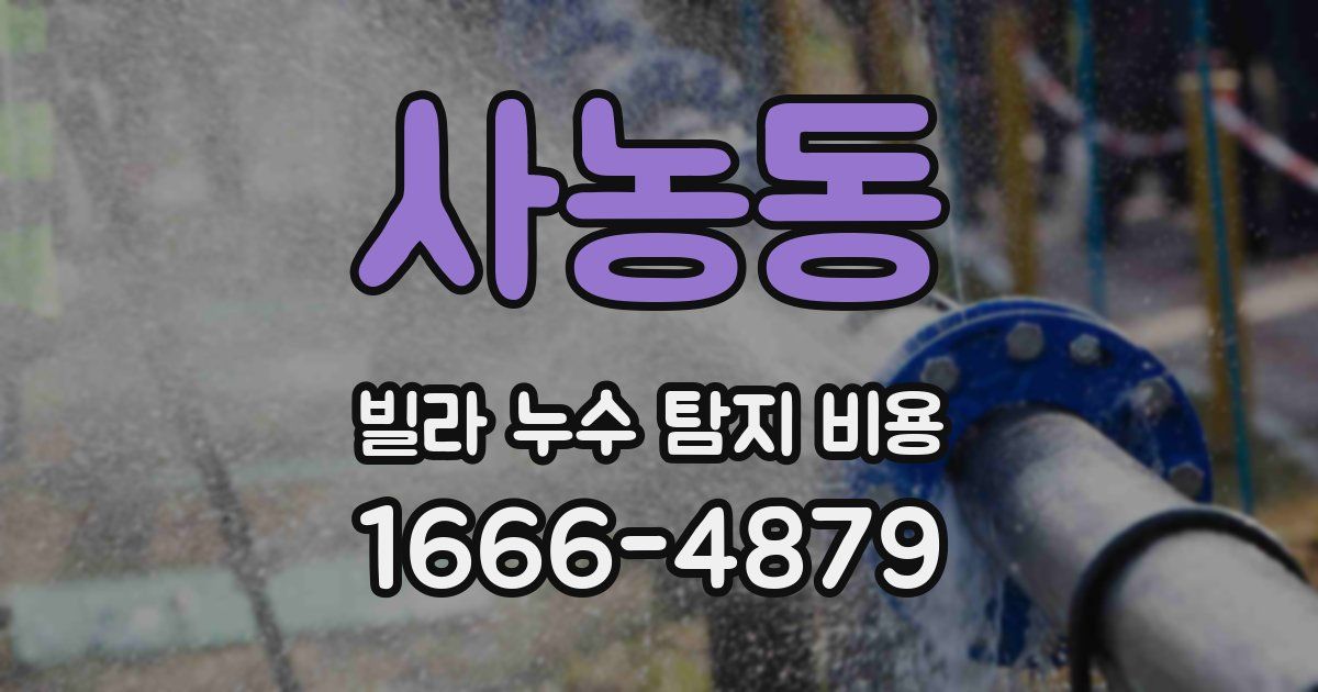 사농동 빌라 누수 탐지 비용