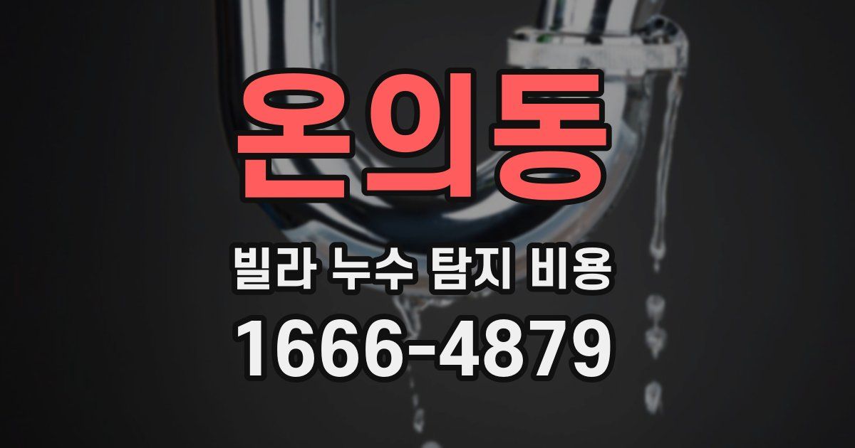 온의동 빌라 누수 탐지 비용