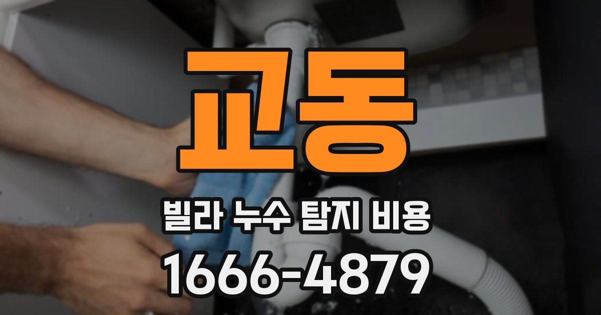교동 빌라 누수 탐지 비용