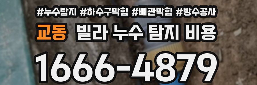 교동 빌라 누수 탐지 비용