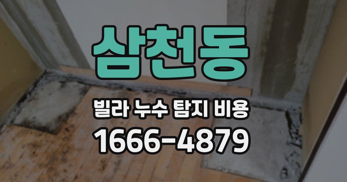 삼천동 빌라 누수 탐지 비용