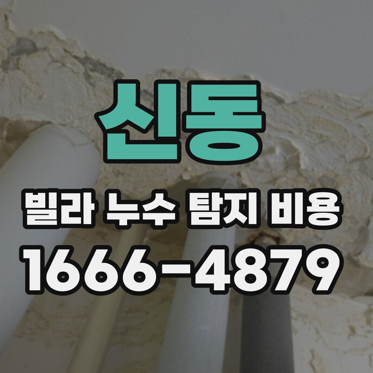 신동 빌라 누수 탐지 비용