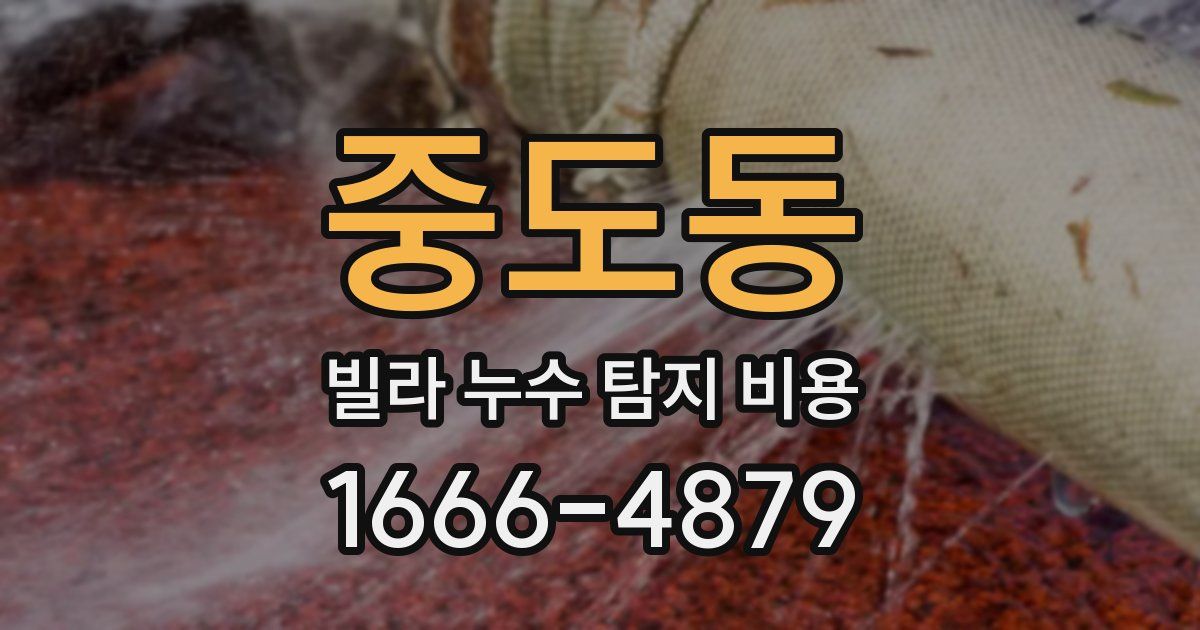 중도동 빌라 누수 탐지 비용