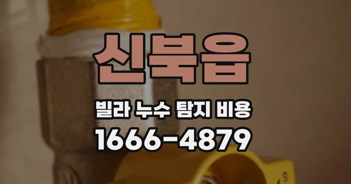 신북읍 빌라 누수 탐지 비용