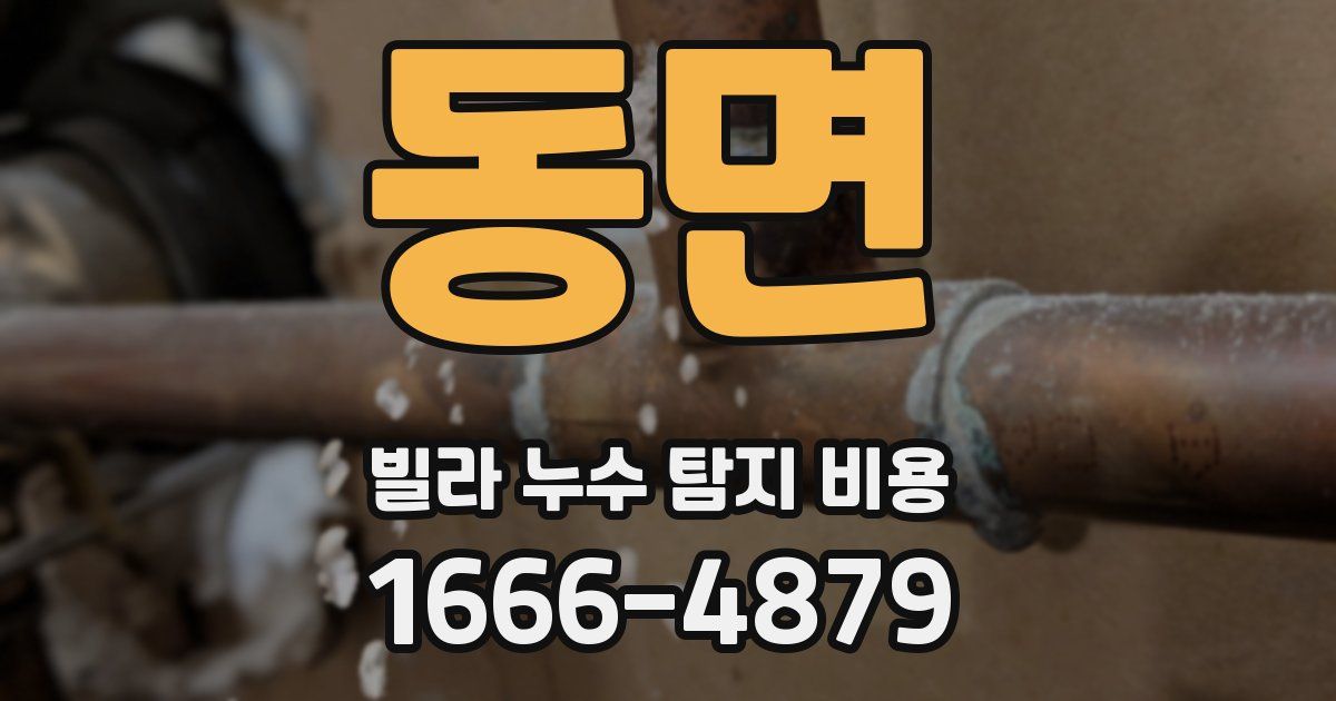 동면 빌라 누수 탐지 비용