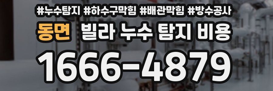 동면 빌라 누수 탐지 비용