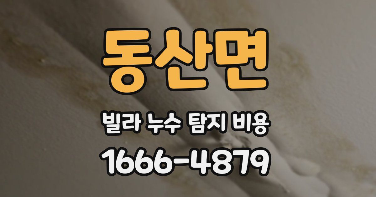 동산면 빌라 누수 탐지 비용