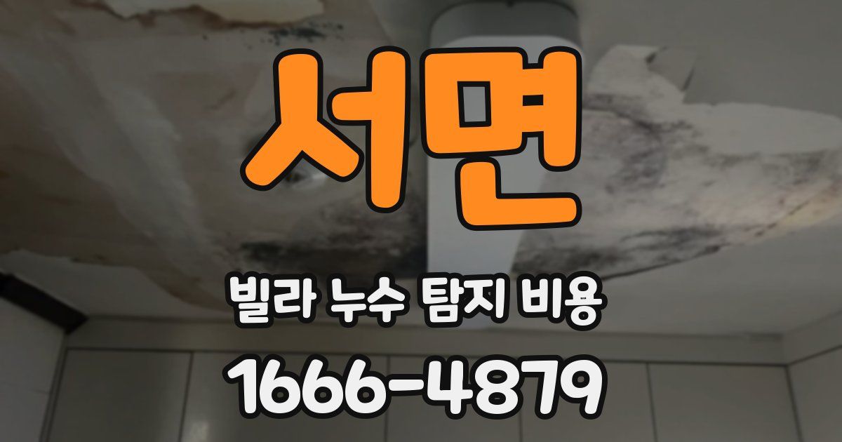 서면 빌라 누수 탐지 비용