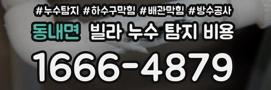 동내면 빌라 누수 탐지 비용