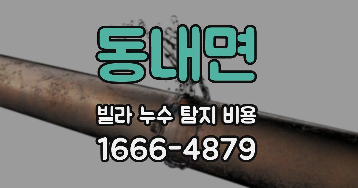 동내면 빌라 누수 탐지 비용