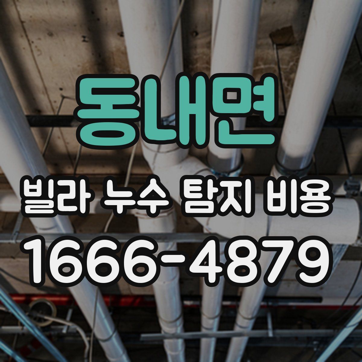 동내면 빌라 누수 탐지 비용