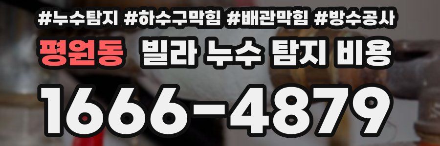 평원동 빌라 누수 탐지 비용