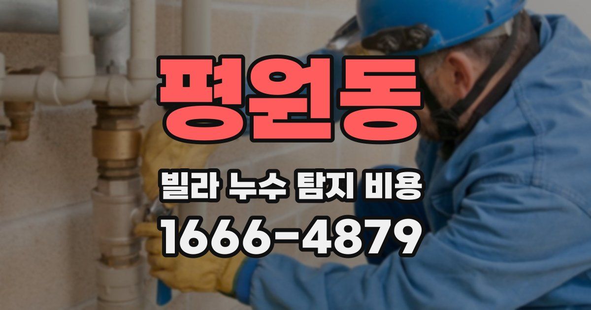 평원동 빌라 누수 탐지 비용