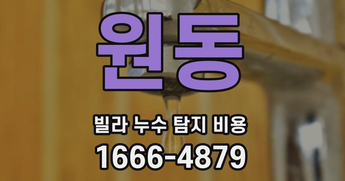 원동 빌라 누수 탐지 비용