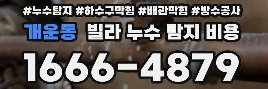개운동 빌라 누수 탐지 비용