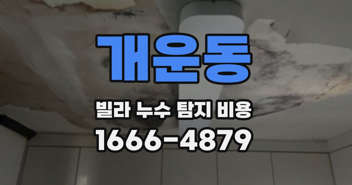 개운동 빌라 누수 탐지 비용