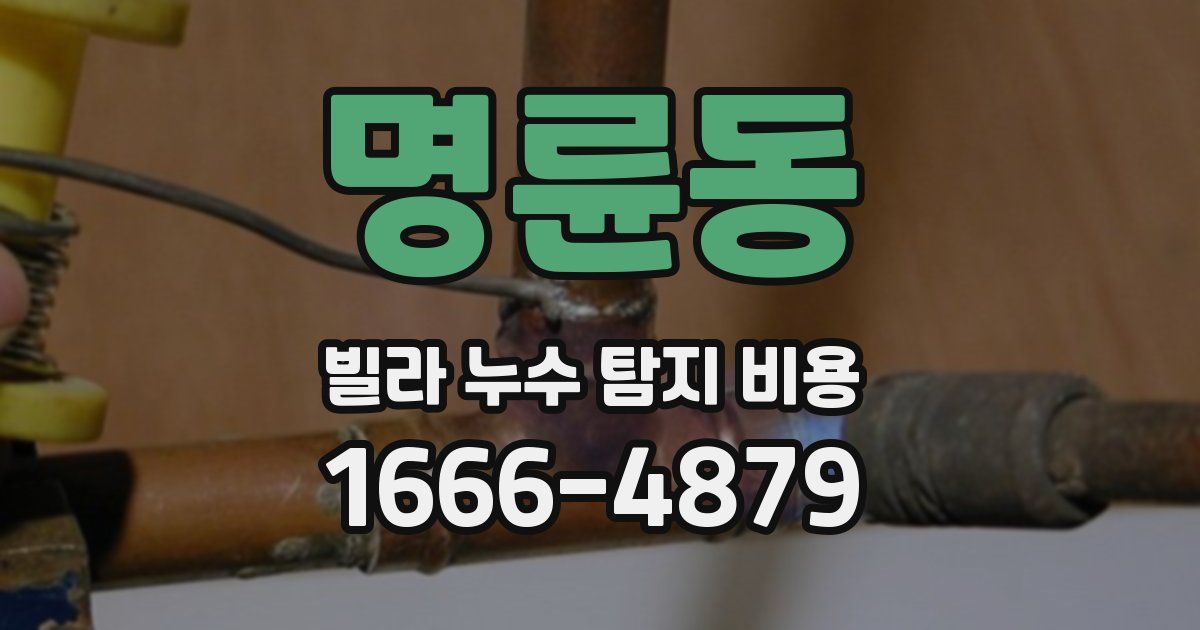 명륜동 빌라 누수 탐지 비용