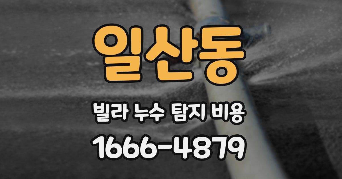 일산동 빌라 누수 탐지 비용