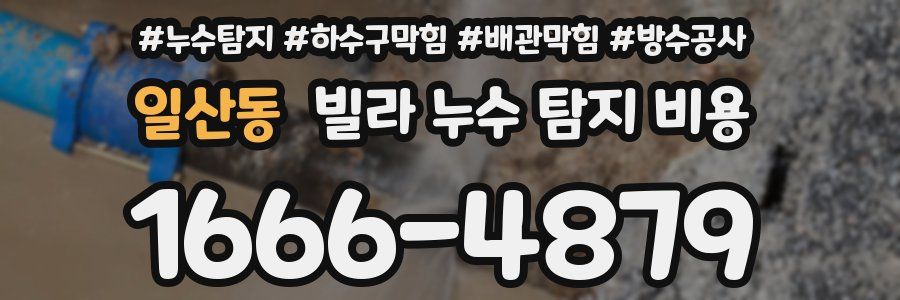 일산동 빌라 누수 탐지 비용
