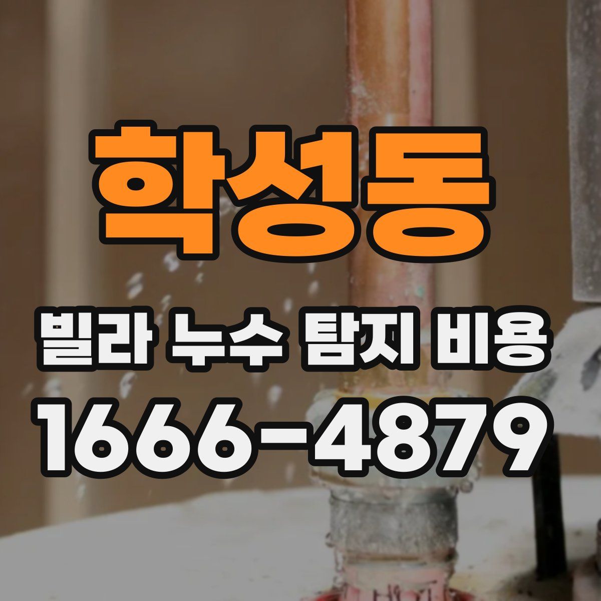 학성동 빌라 누수 탐지 비용