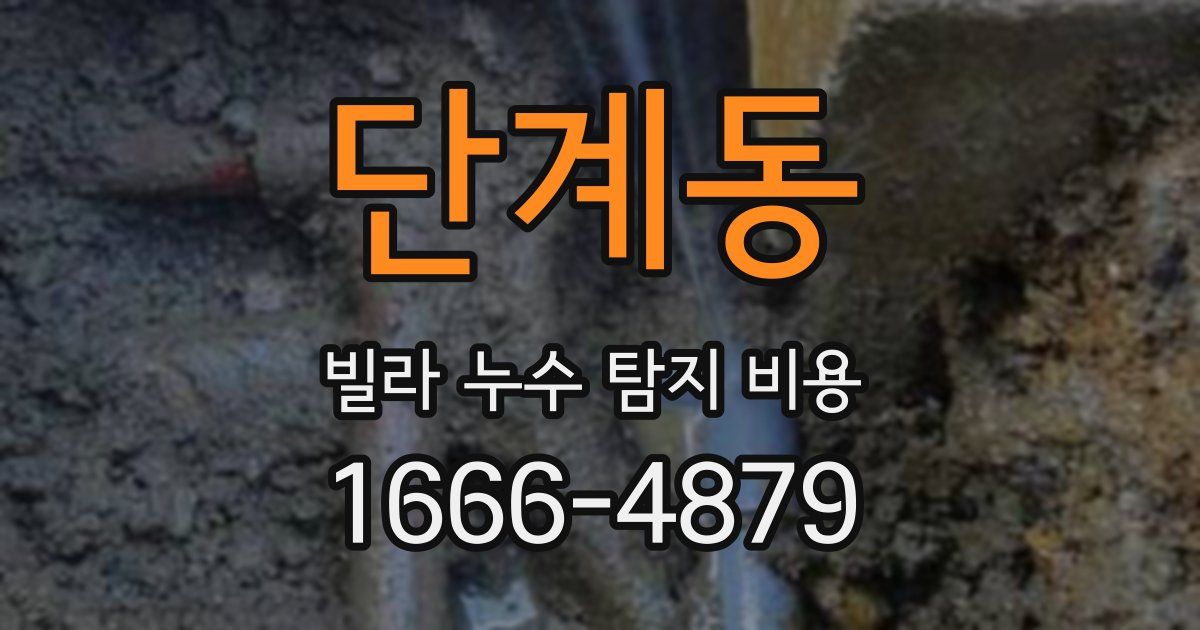 단계동 빌라 누수 탐지 비용