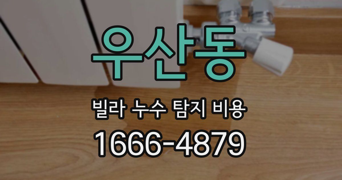 우산동 빌라 누수 탐지 비용