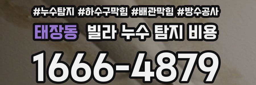 태장동 빌라 누수 탐지 비용