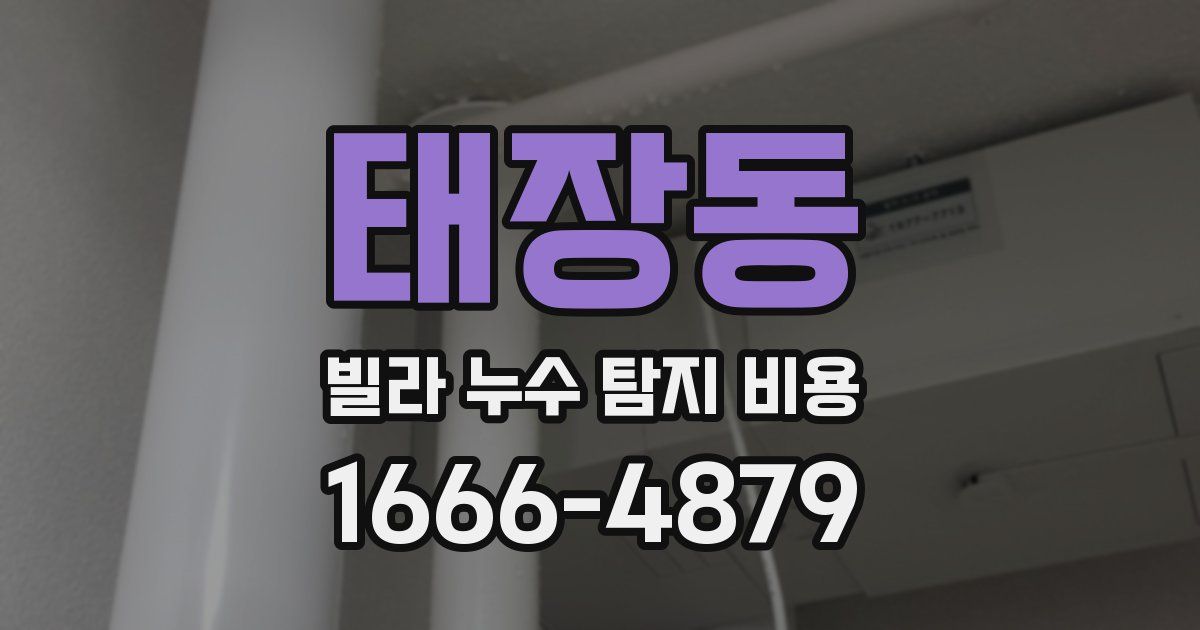 태장동 빌라 누수 탐지 비용