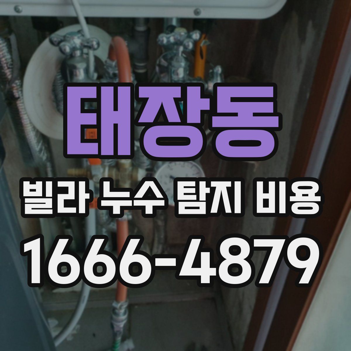 태장동 빌라 누수 탐지 비용