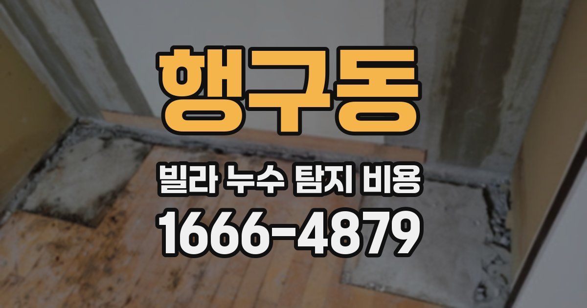 행구동 빌라 누수 탐지 비용