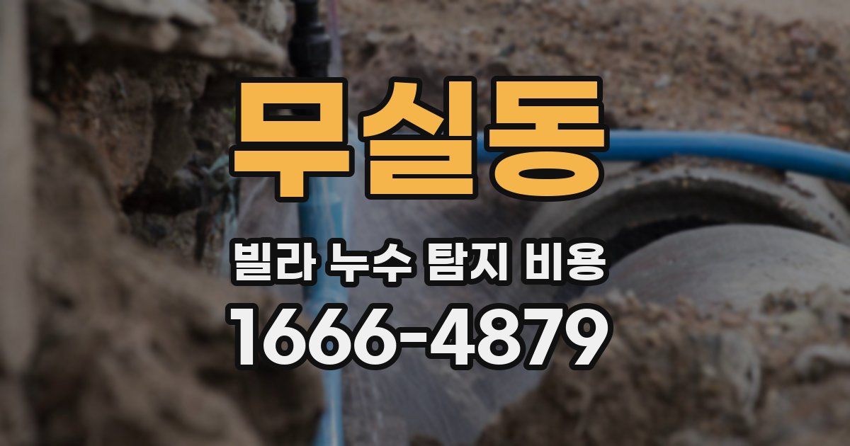 무실동 빌라 누수 탐지 비용