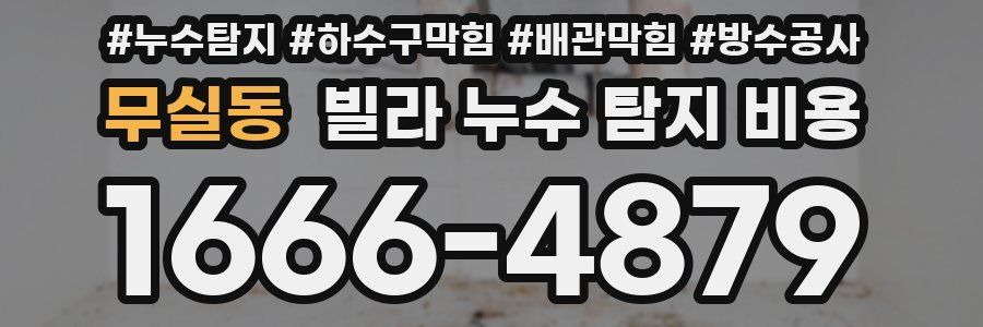 무실동 빌라 누수 탐지 비용