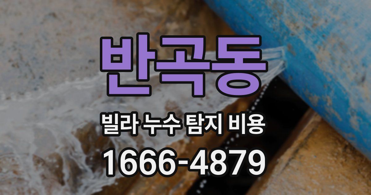 반곡동 빌라 누수 탐지 비용