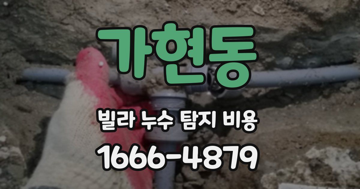 가현동 빌라 누수 탐지 비용