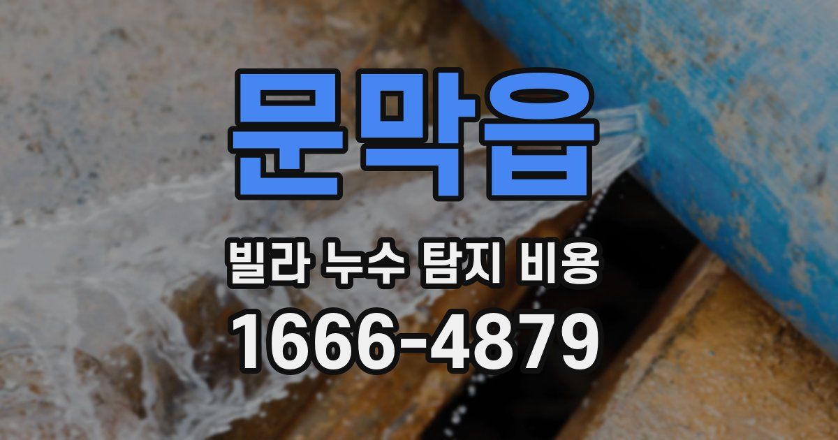 문막읍 빌라 누수 탐지 비용