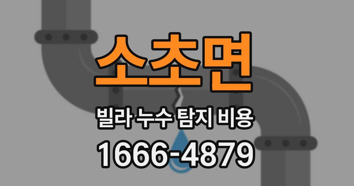 소초면 빌라 누수 탐지 비용