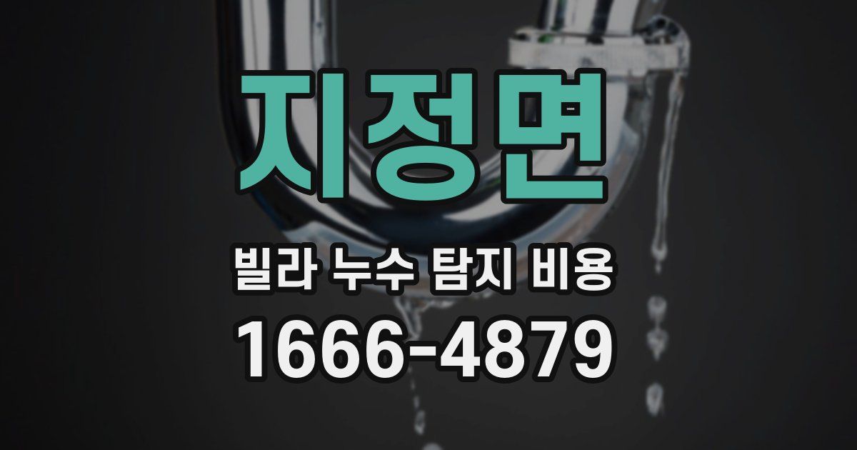 지정면 빌라 누수 탐지 비용