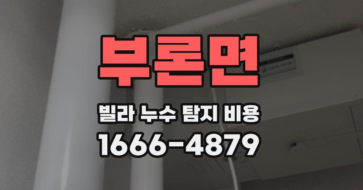 부론면 빌라 누수 탐지 비용