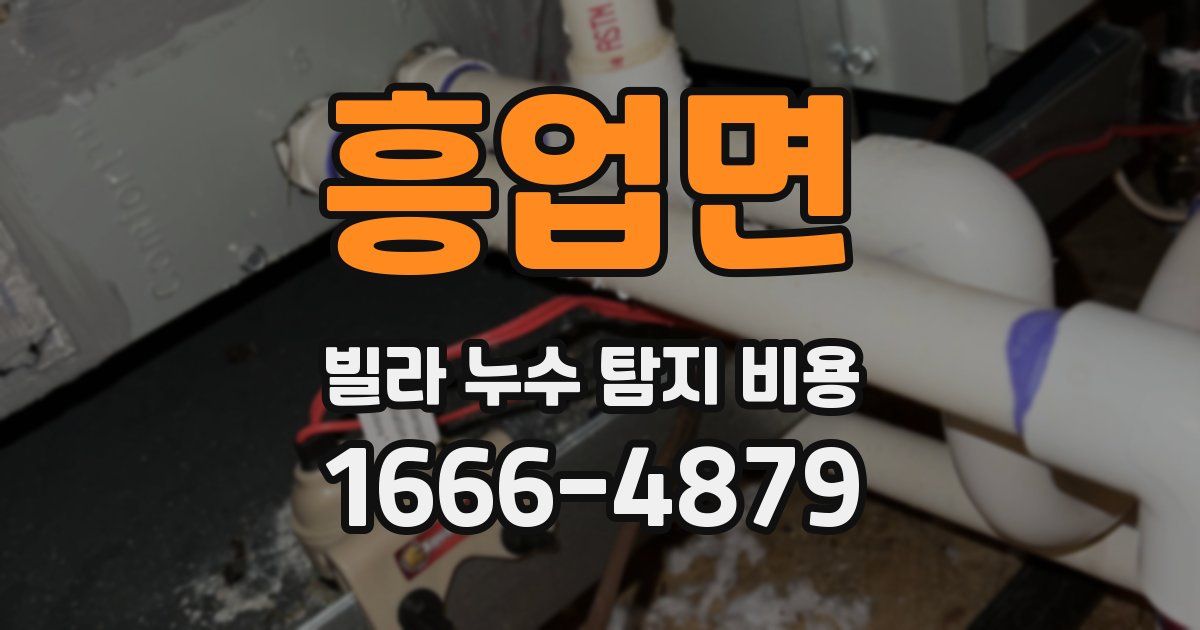 흥업면 빌라 누수 탐지 비용