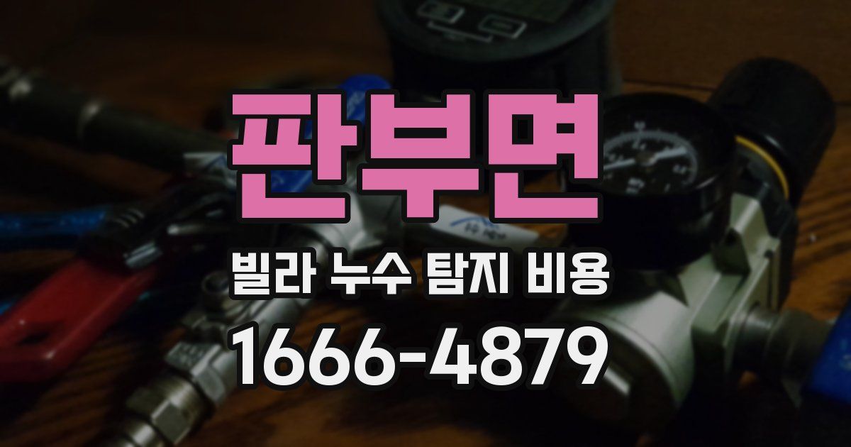 판부면 빌라 누수 탐지 비용