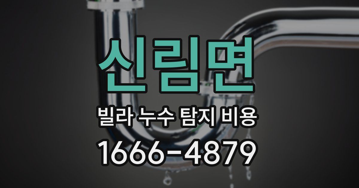 신림면 빌라 누수 탐지 비용