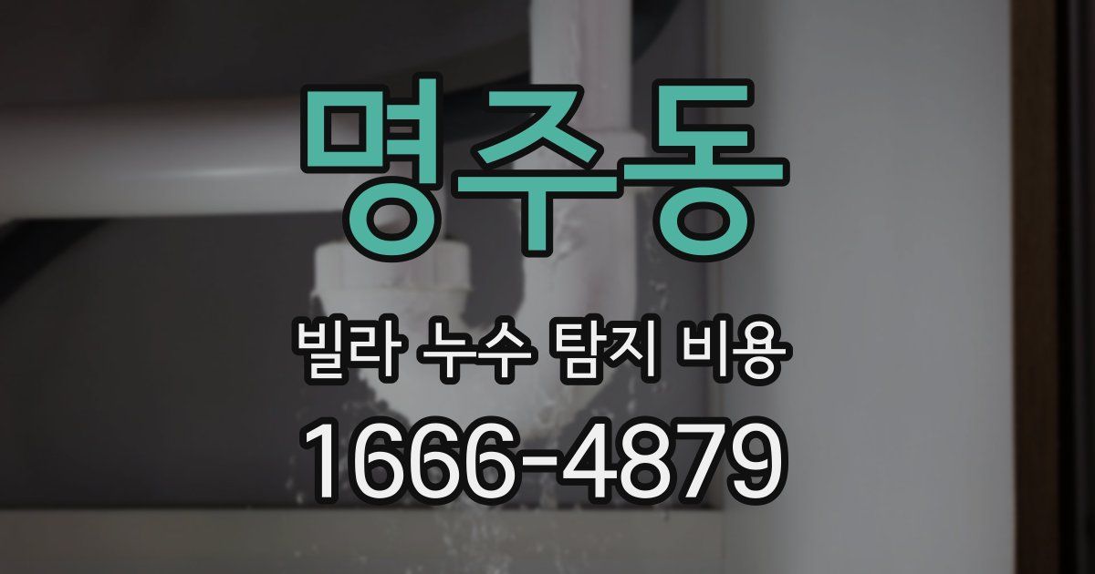 명주동 빌라 누수 탐지 비용