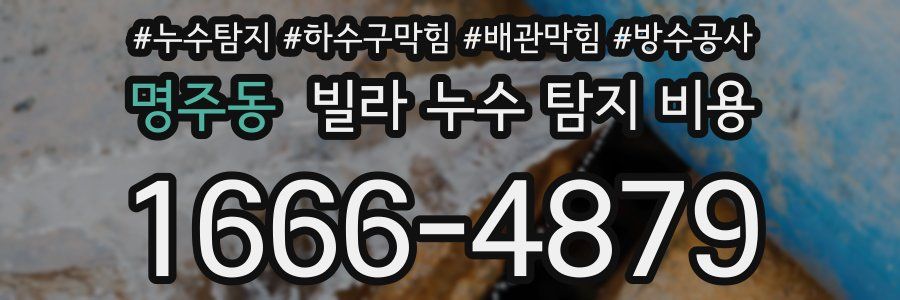 명주동 빌라 누수 탐지 비용