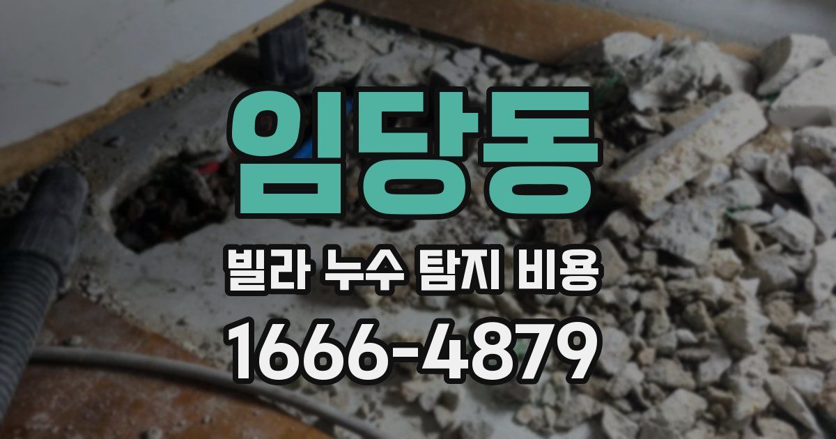 임당동 빌라 누수 탐지 비용