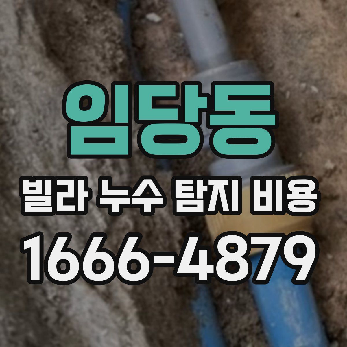 임당동 빌라 누수 탐지 비용