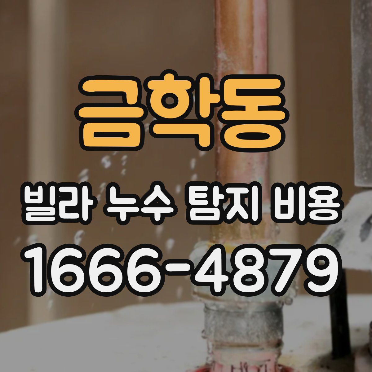금학동 빌라 누수 탐지 비용