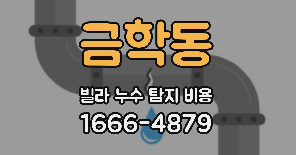 금학동 빌라 누수 탐지 비용