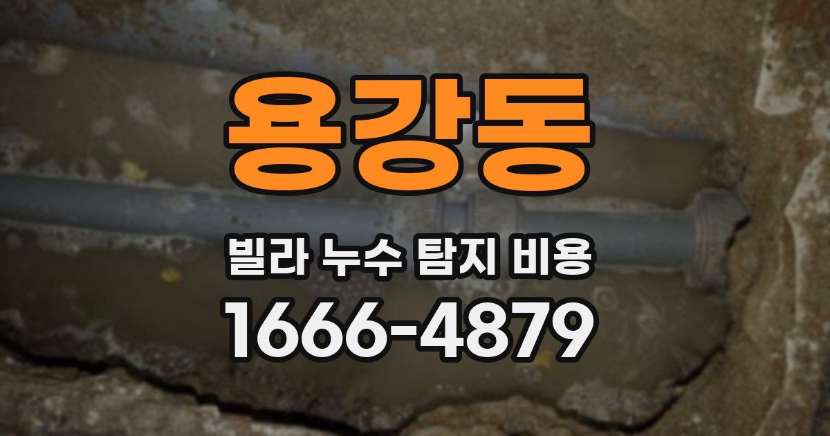 용강동 빌라 누수 탐지 비용