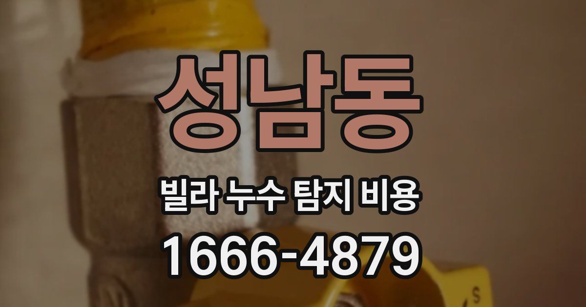 성남동 빌라 누수 탐지 비용