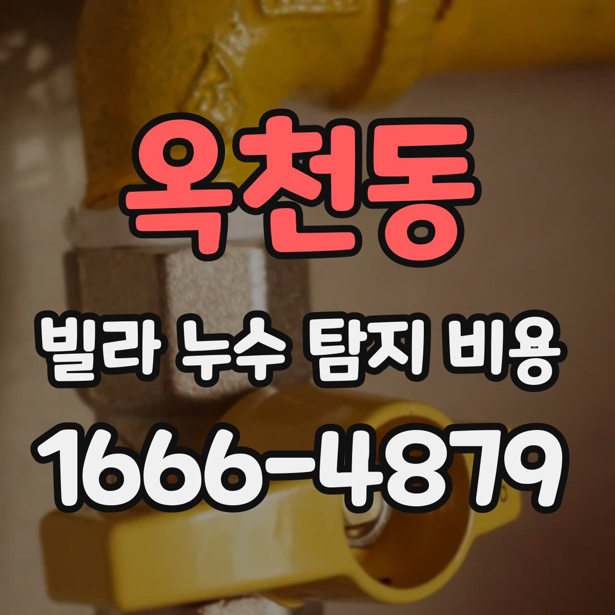 옥천동 빌라 누수 탐지 비용